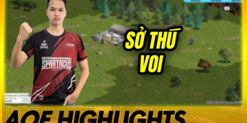 Chim Sẻ Đi Nắng Va ChẠm CỰc CĂng Với Shenlong Trong Giải | Aoe Highlights