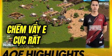 Turn VẢy E SiÊu ĐỊnh MỆnh Của Chim Sẻ Đi Nắng | Aoe Highlights