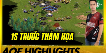 Chim Sẻ Đi Nắng TẠo ĐỊa ChẤn Thảm Họa Cho đối Thủ | Aoe Highlights