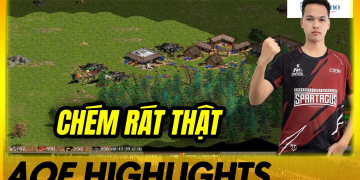 Sát Thương Chí Mạng Khi Chim Sẻ Đi Nắng CẦm Shang| Aoe Highlights